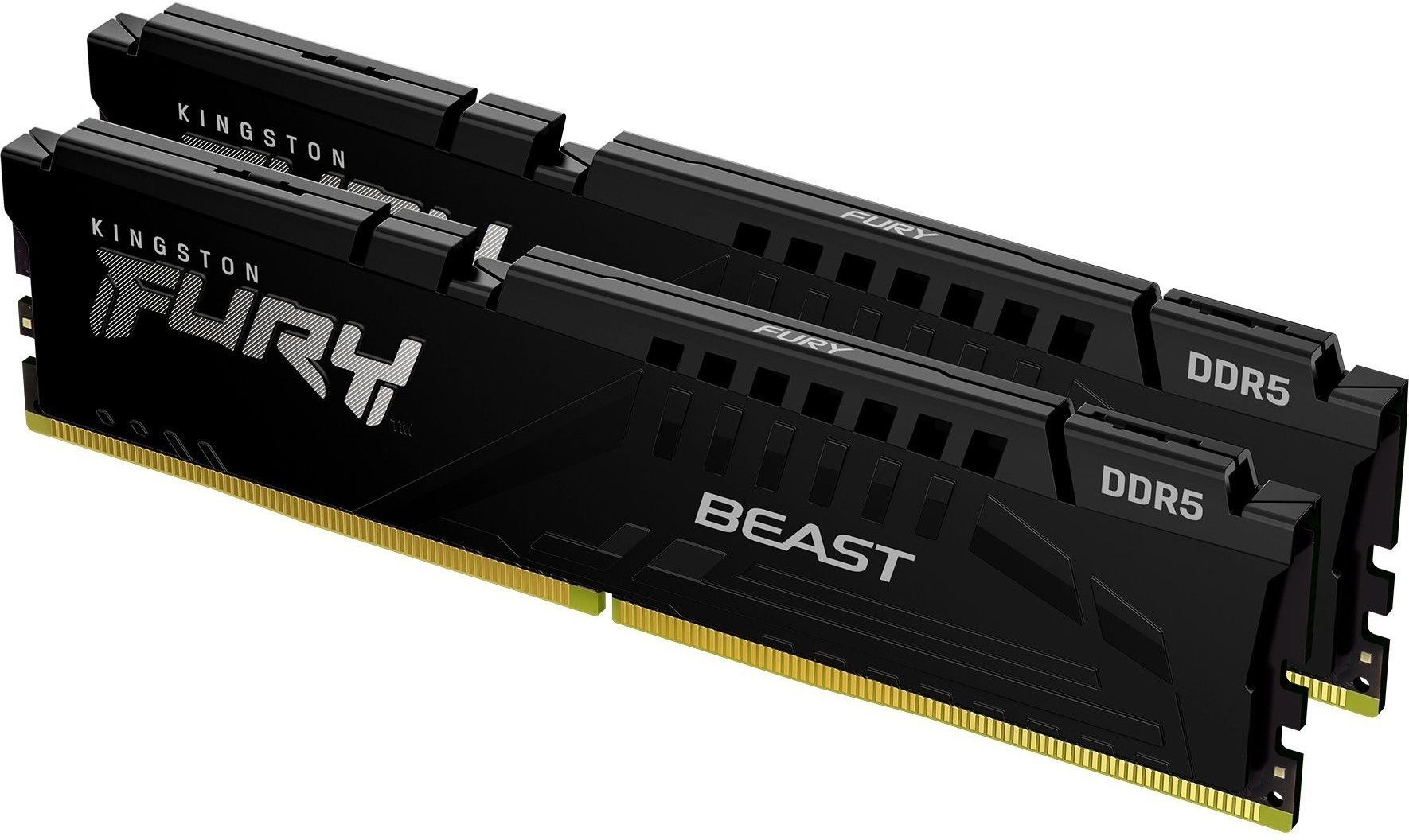 Память оперативная Kingston FURY Beast Black EXPO KF560C30BBEK2-16