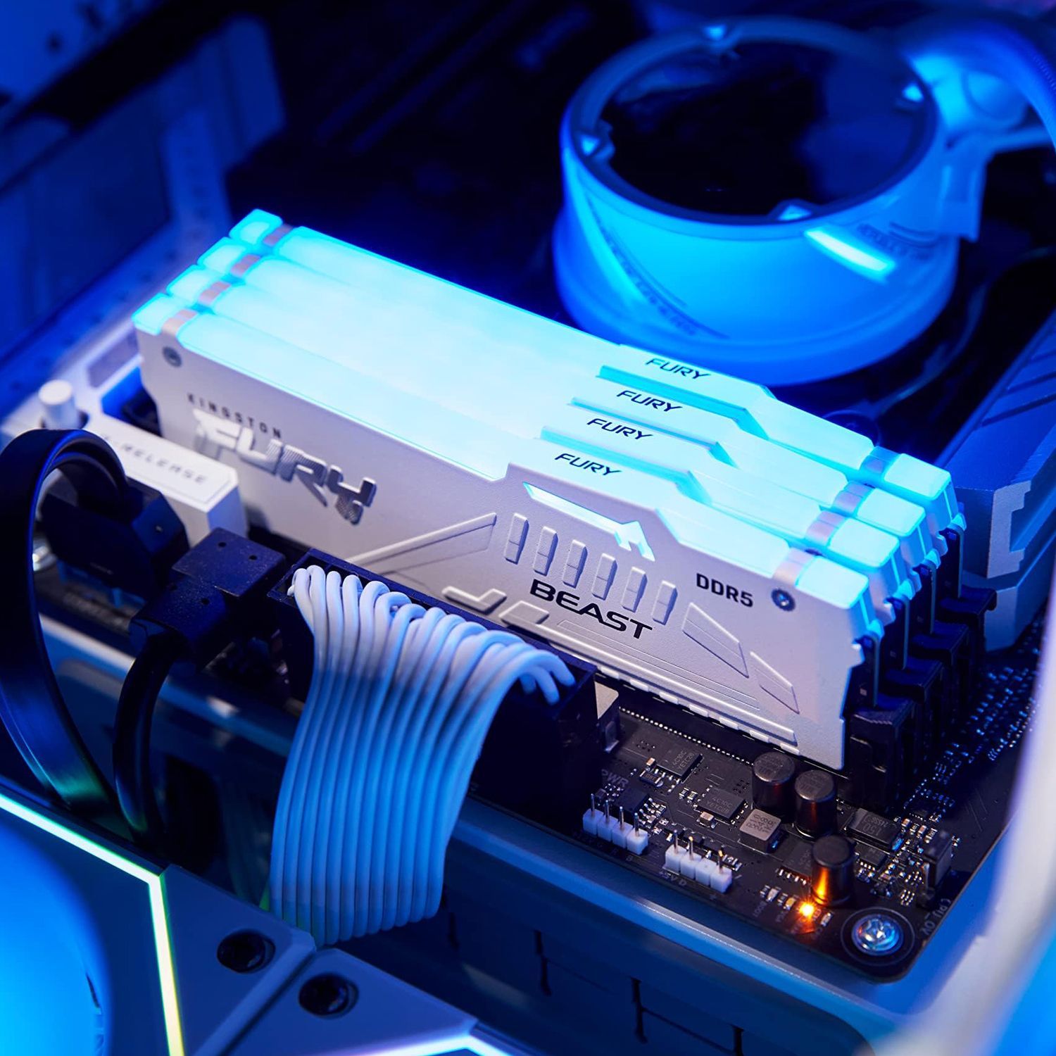 Память оперативная Kingston FURY Beast KF556C36BWEA-32